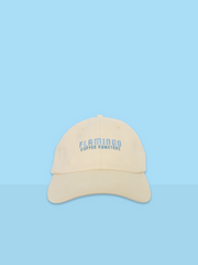 Dad Cap
